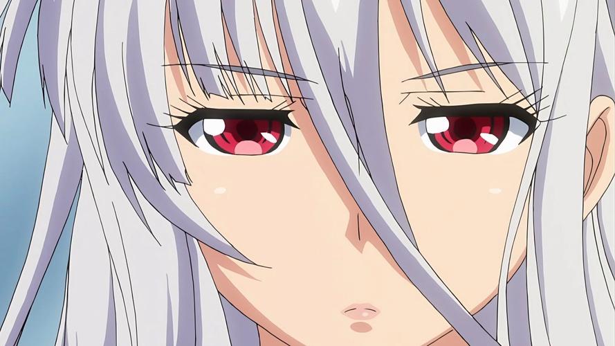 圣布伦希尔特学园少女骑士团与纯白胖次游戏玩法详解