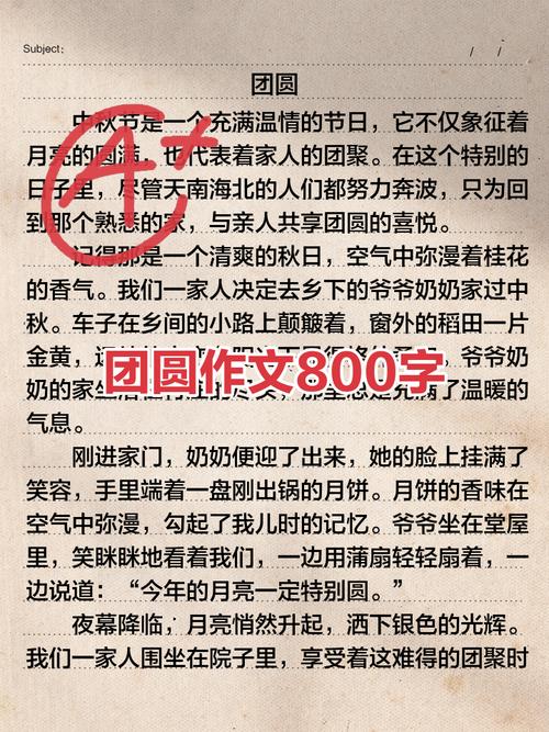 深入解析《团圆之时》汉化版最新更新内容