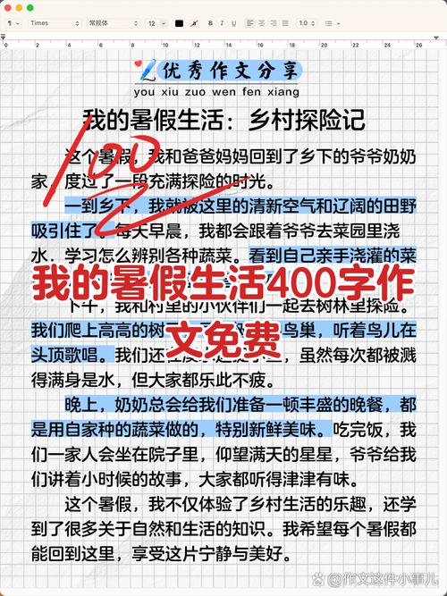 深入剖析《我的H暑假》安卓汉化版本的魅力与挑战