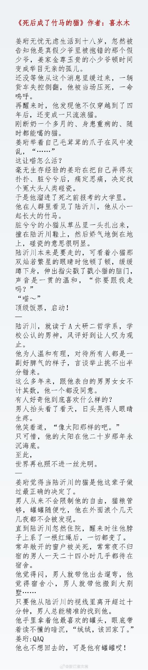 如何顺利更新《纯情魅魔的同居生活》游戏版本：详细教程