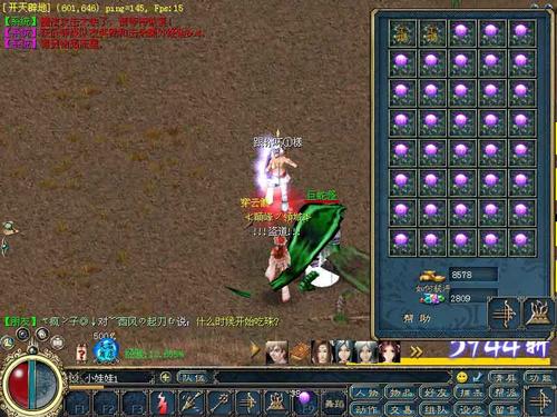 《征服愿望安卓汉化》：深度解析与实用建议