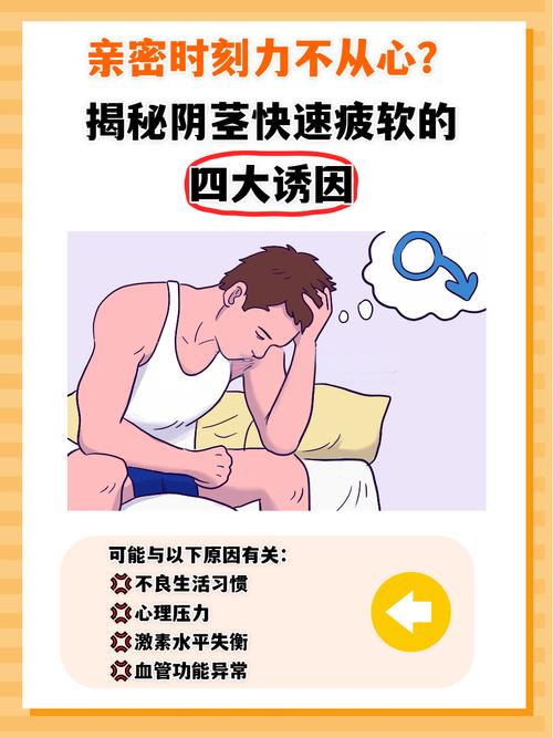 深入解析大兄弟精翻下载安卓的市场趋势与用户体验