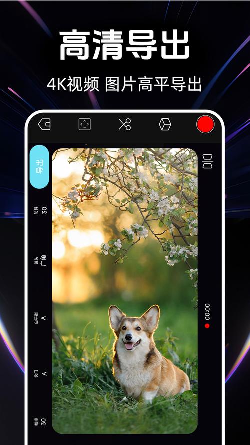探索艾薇拍摄安卓:技术、市场与未来发展趋势