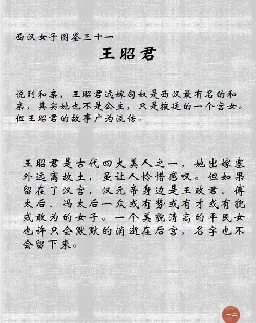 深入解析《荡妇之王汉化版》最新更新内容及其影响