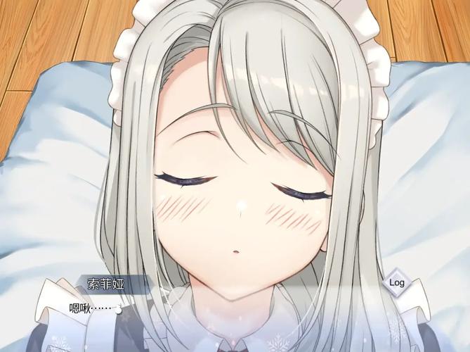 我与女仆索菲娅的秘密最新版本实用教程