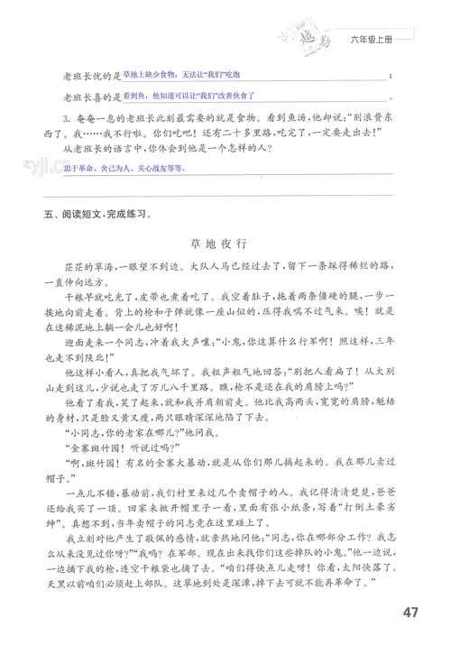 解密《宁静草地最新版本》的魅力与潜力