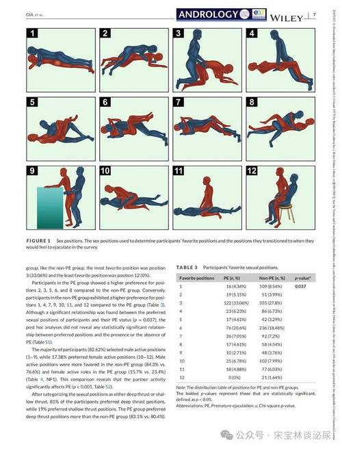 公共性生活最新版本的深度分析与展望