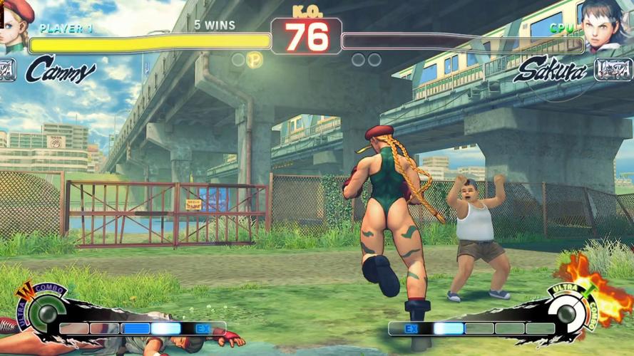 街头英雄：绅士游戏的崛起与未来发展趋势分析