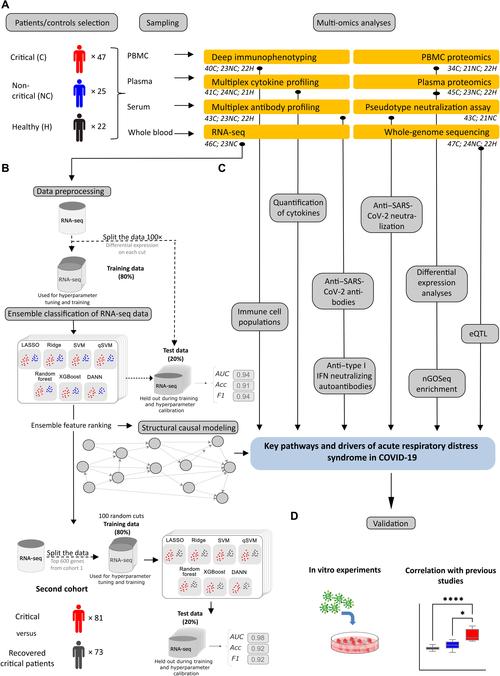 平行救赎官网：深度解析与未来展望