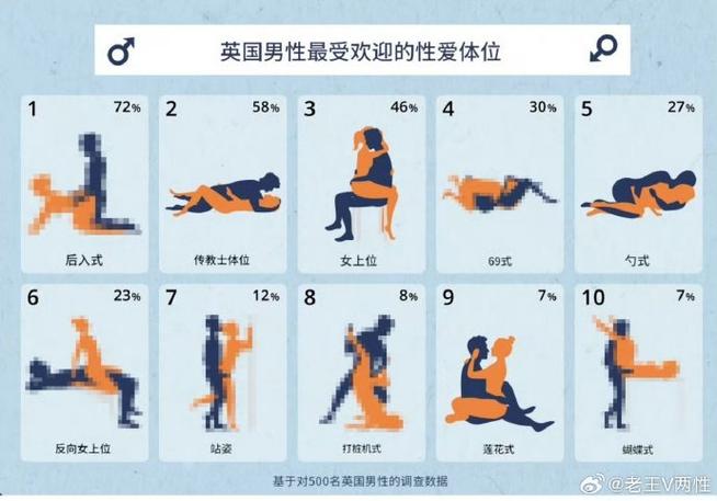 解析公共性生活官方正式版下载最新版的应用与影响