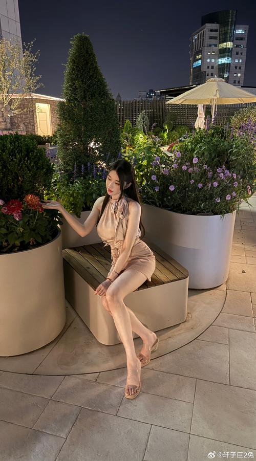 探索轩子巨二兔更新地址的深层影响及其在绅士游戏领域的意义