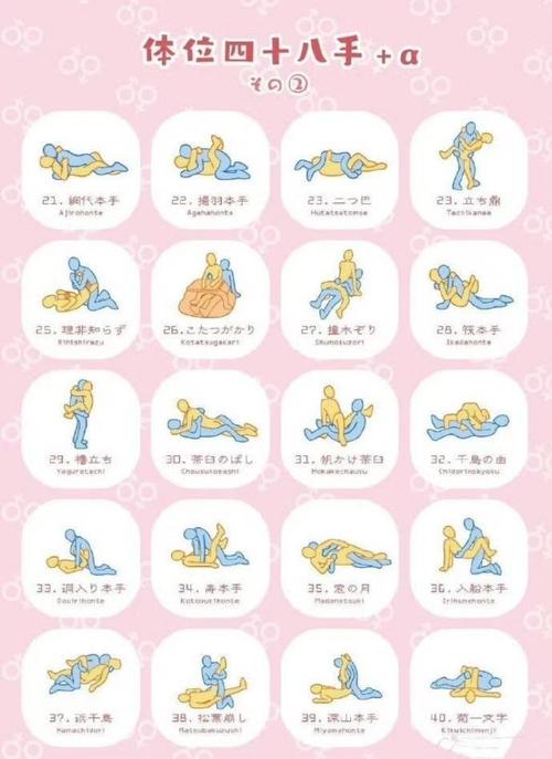 公共性生活最新版本的深度分析与展望