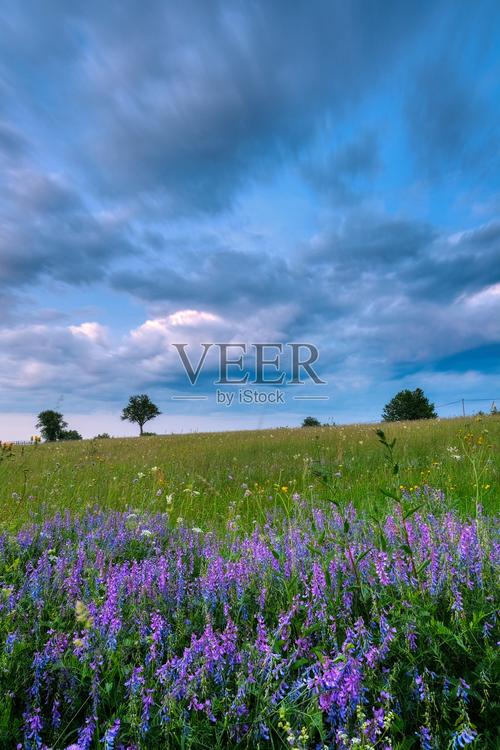 宁静草地更新地址的深度分析与未来展望