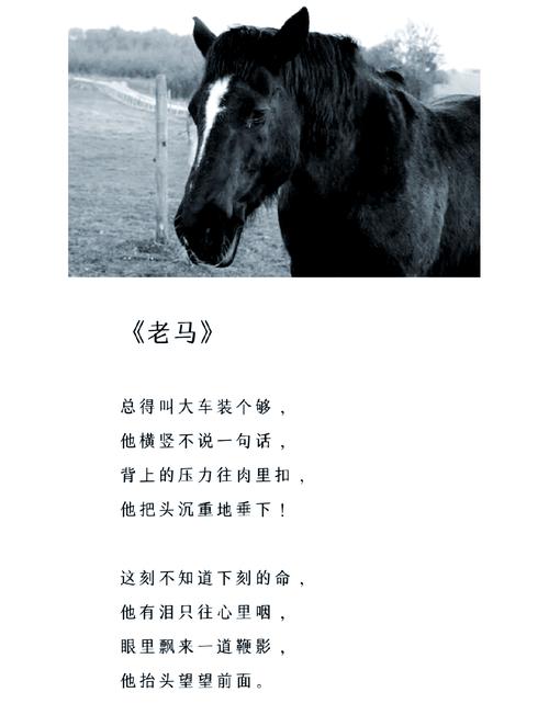 不知何故独来独往的玛蒂尔达小姐更新日志使用教程