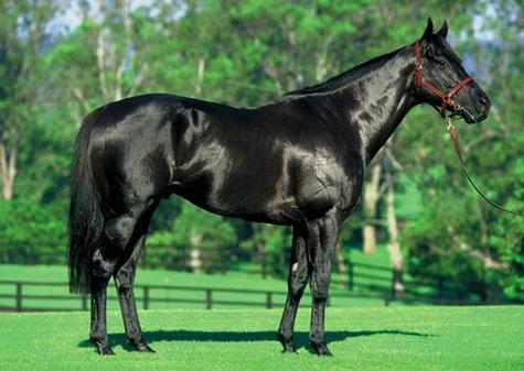 种马V0.12版本大全：新手必备实用教程