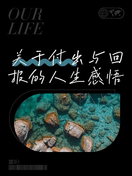 生活的回报如何下载：深入解析与实用建议