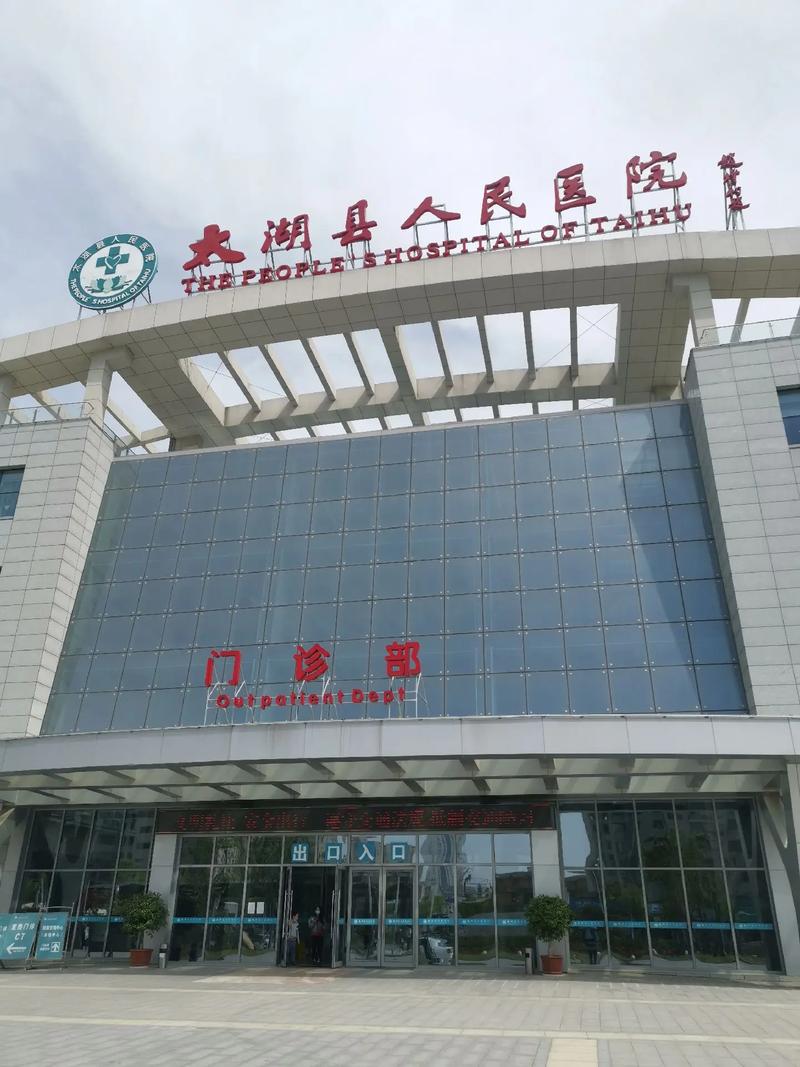 D-Hospital游戏下载功能使用指南