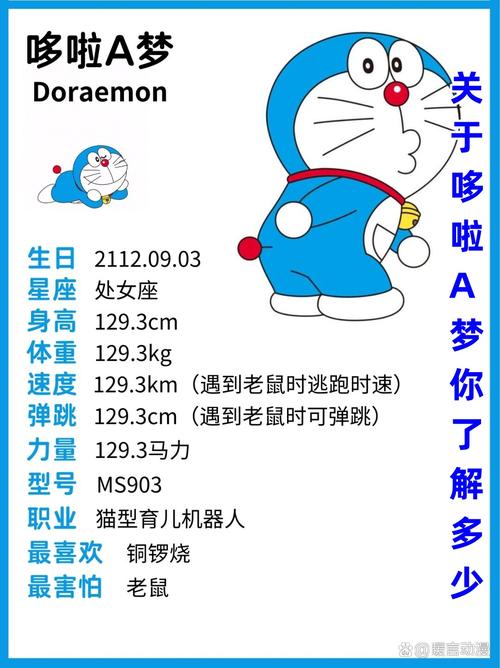 全面解析：盯档猫版本大全的演变与影响