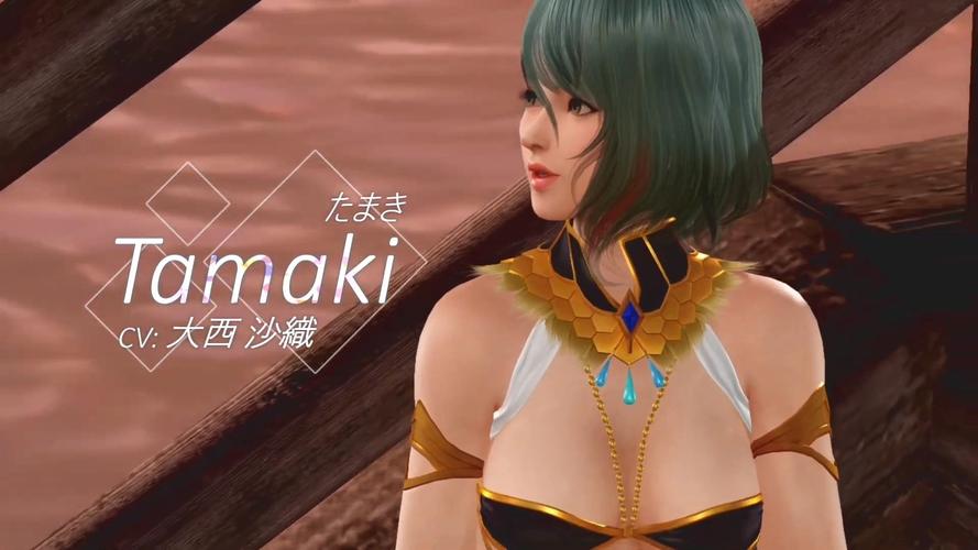 维纳斯俱乐部V2.5.3官方版下载与安装详细教程