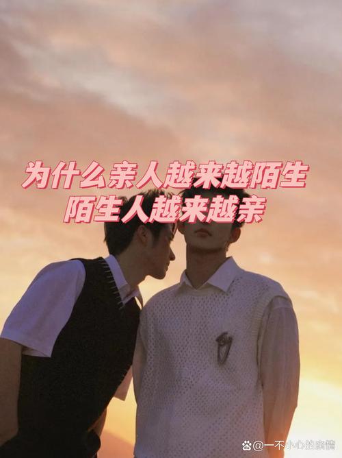 家人、朋友和陌生人汉化版最新更新内容详解与使用教程