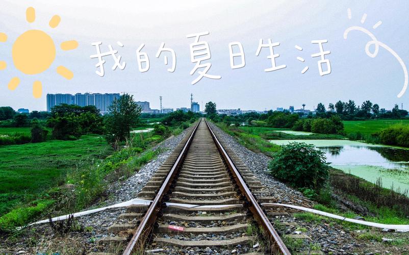 我的夏天版本大全：深度解读及玩法指导