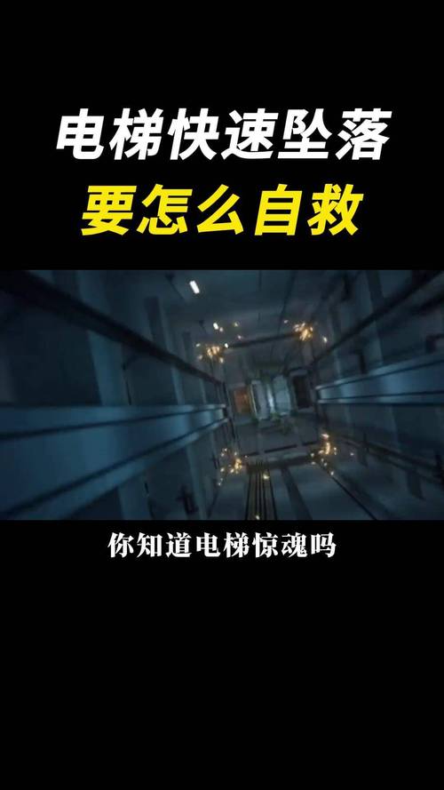 如何下载《电梯里的堕落人妻》官方正式版：详细操作教程