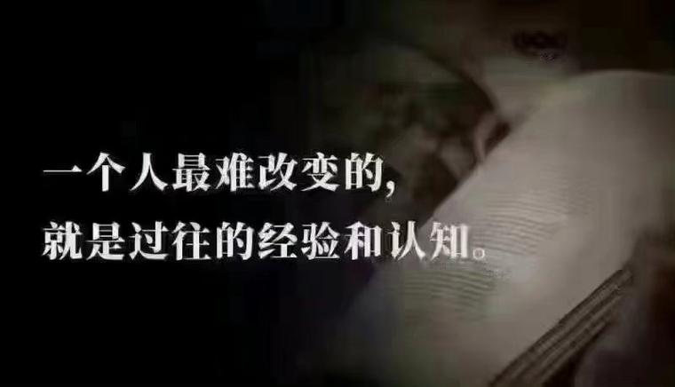 深度解析《生活的回报》游戏下载的独特魅力与潜力