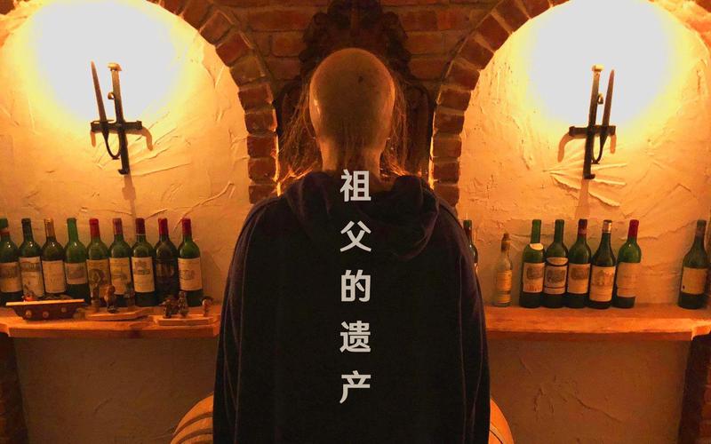 揭秘“祖父的遗产竟然是秘密组织”的游戏更新日志：实用教程