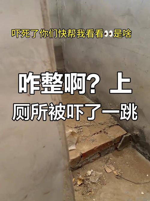 厕所里奇怪的声音如何下载：实用教程