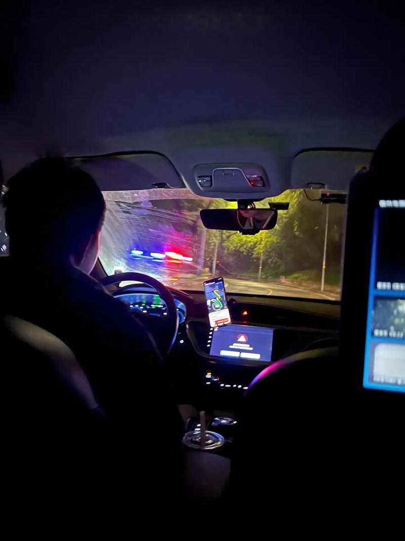 深度解析：夜间司机绅士游戏的魅力与发展