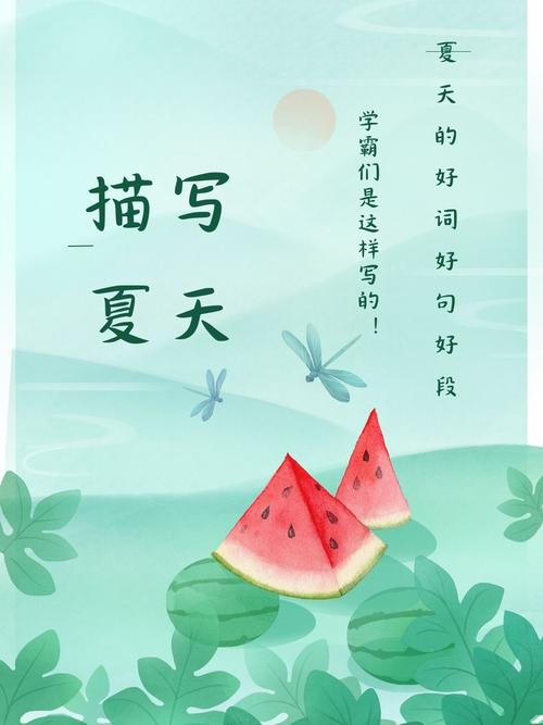 我的夏天版本大全：深度解读及玩法指导