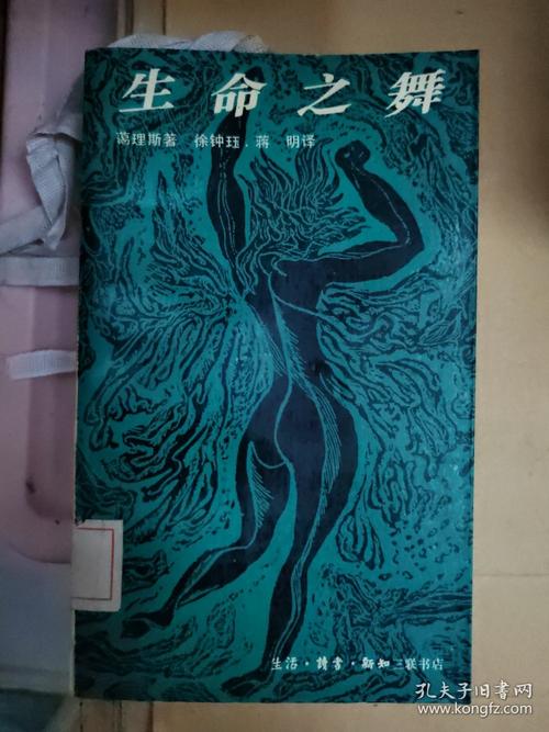 深入分析《生命之舞杨过游戏》的核心机制与用户体验