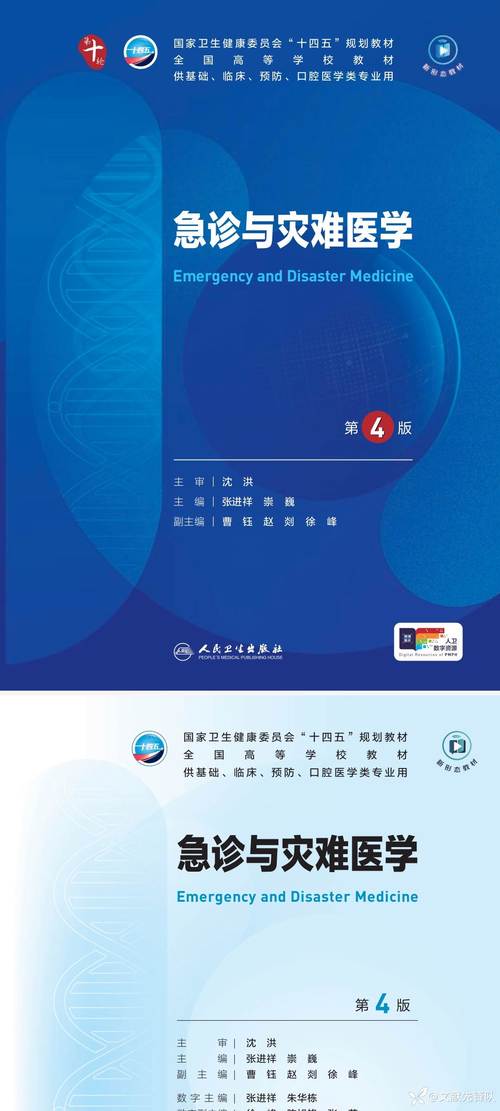 全科医生汉化版最新更新内容深度解析