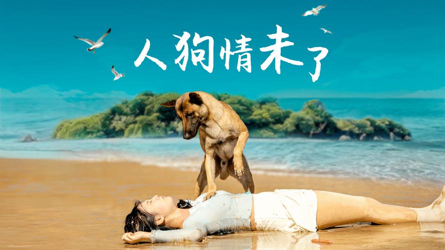 《人狗情未了》游戏深度解析与玩家体验