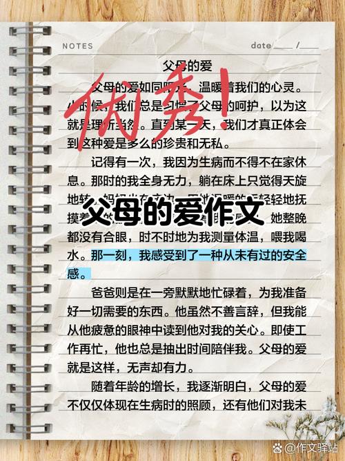 深入解析《父母的爱》：最新版本及其游戏特色