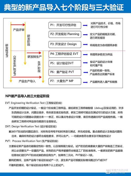 NLT合集下载指南：深度解析和实用建议
