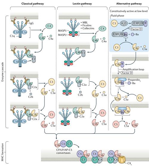 全面解析D-Hospital安卓游戏实用教程
