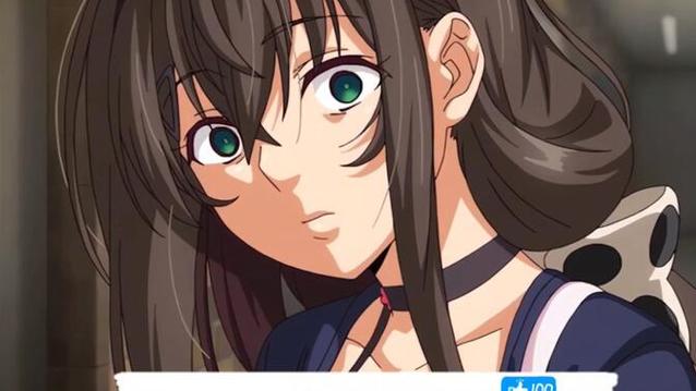 深度解析《种付勇者传》游戏攻略：策略与角色的完美结合