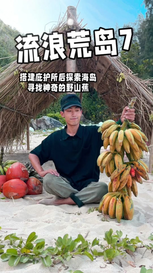 探索草粉兄弟最新版本的创新与挑战