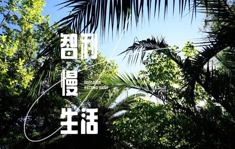 深入分析：简单的日子官方网站的魅力与潜力