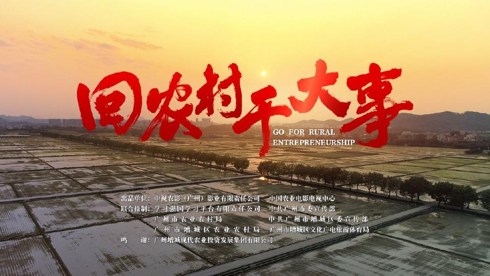 回到农村最新：新时代农村发展的深度分析与前景展望