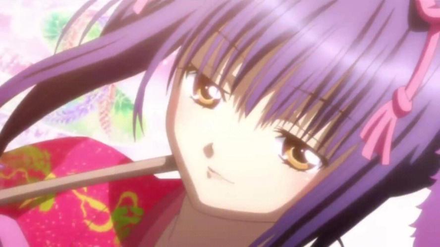 深度解析大和抚子的最新动态与市场影响