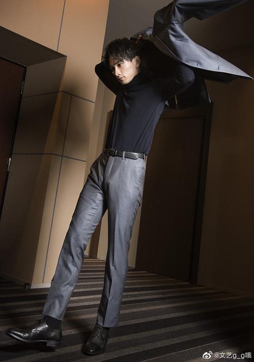 盯档猫：深入分析其安卓版本下载的影响与潜力