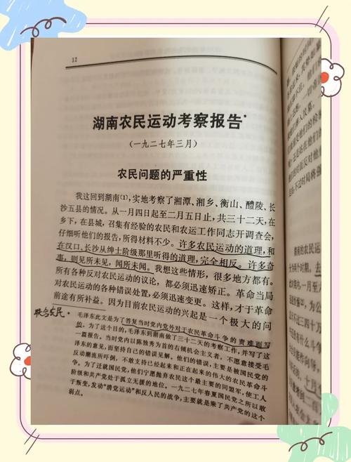 深度分析：农耕勇者安卓的游戏机制与市场潜力