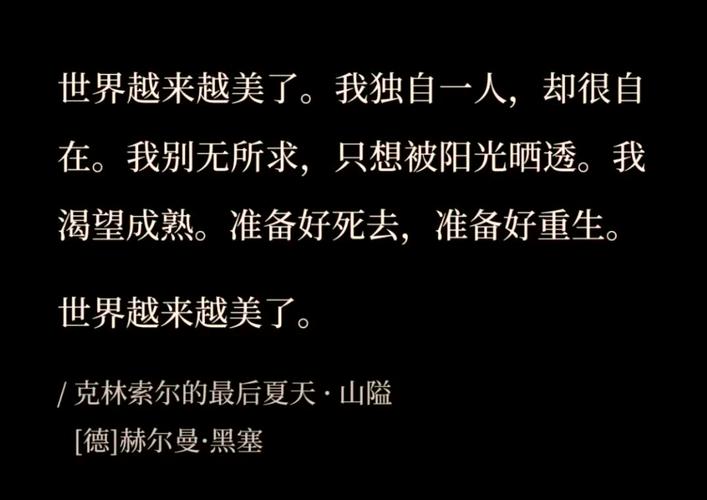 深度解析《最后的夏季》汉化版：下载与体验的全面分析