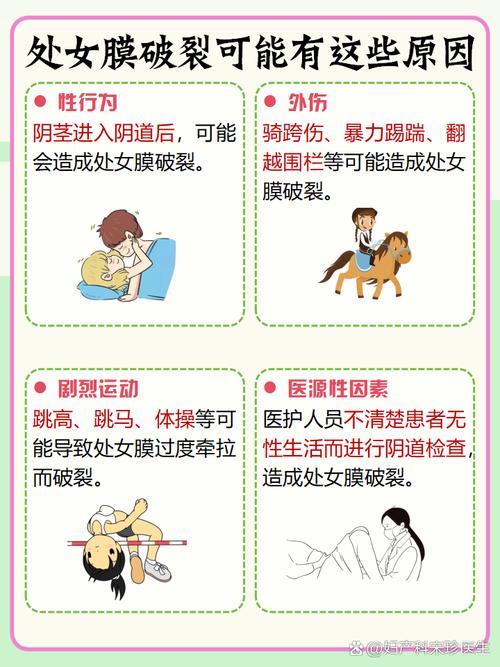 如何成为“性处理科”的一员：最新版本详解教程