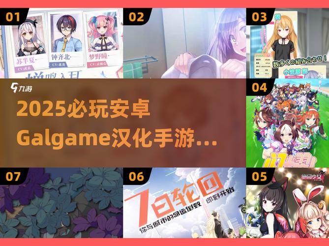 一周之后安卓汉化的深度分析与实践指南