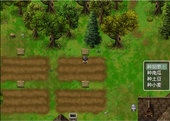 农民的追求版本大全：深度解析与未来展望