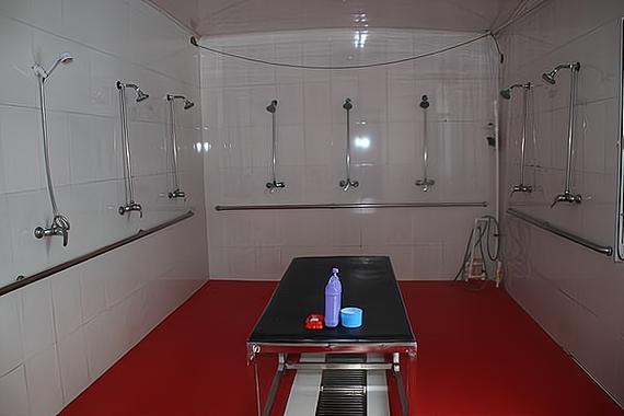 在乡下的公共澡堂版本大全：实用教程与技巧