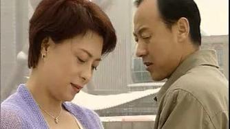 如何在《再婚家庭的奇妙故事最新版本》中建立和谐家庭关系：实用教程